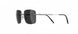 6560 - Ruthenium Black - SLM POL Grey