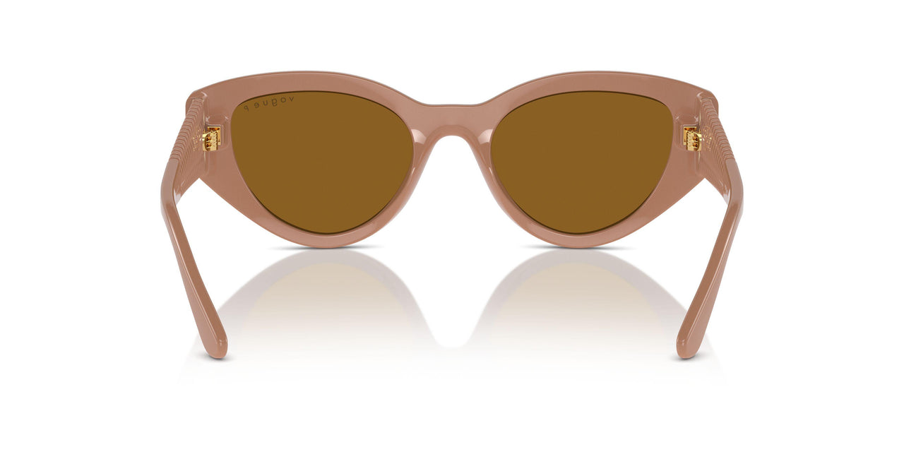 312183 - Beige - Dark Brown Polarized