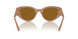 312183 - Beige - Dark Brown Polarized