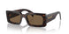 16N5Y1 - Brown - Dark Brown Polar