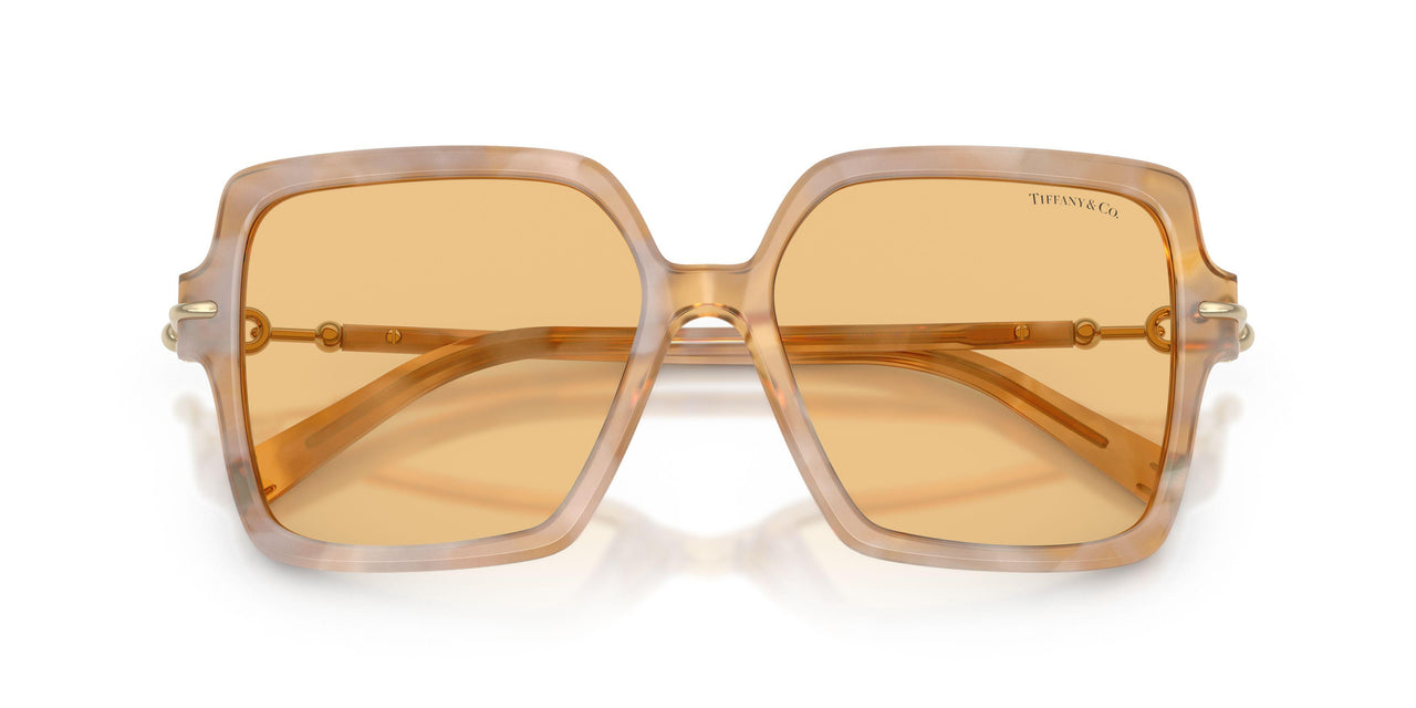 8451/7 - Tortoise - Orange