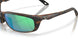 913415 - Tortoise - Green Mirror
