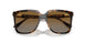 W656T5 - Havana - Polar Grey Gradient Brown