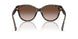 196413 - Tortoise - Dark Tortoise