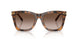 608913 - Tortoise - Gradient Brown