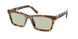 14L50O - Tortoise - Light Green