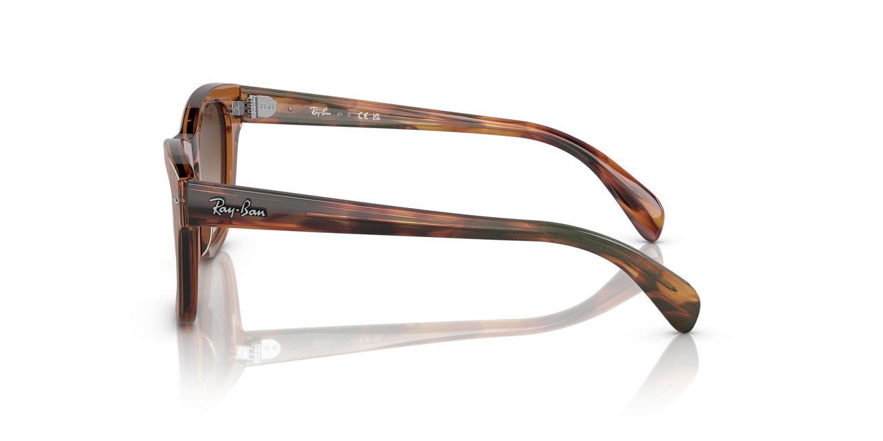712713 - Brown - Brown Gradient