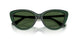 416271 - Green - Dark Green
