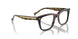 W656 - Brown