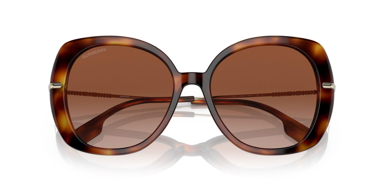 331613 - Havana - Brown Gradient