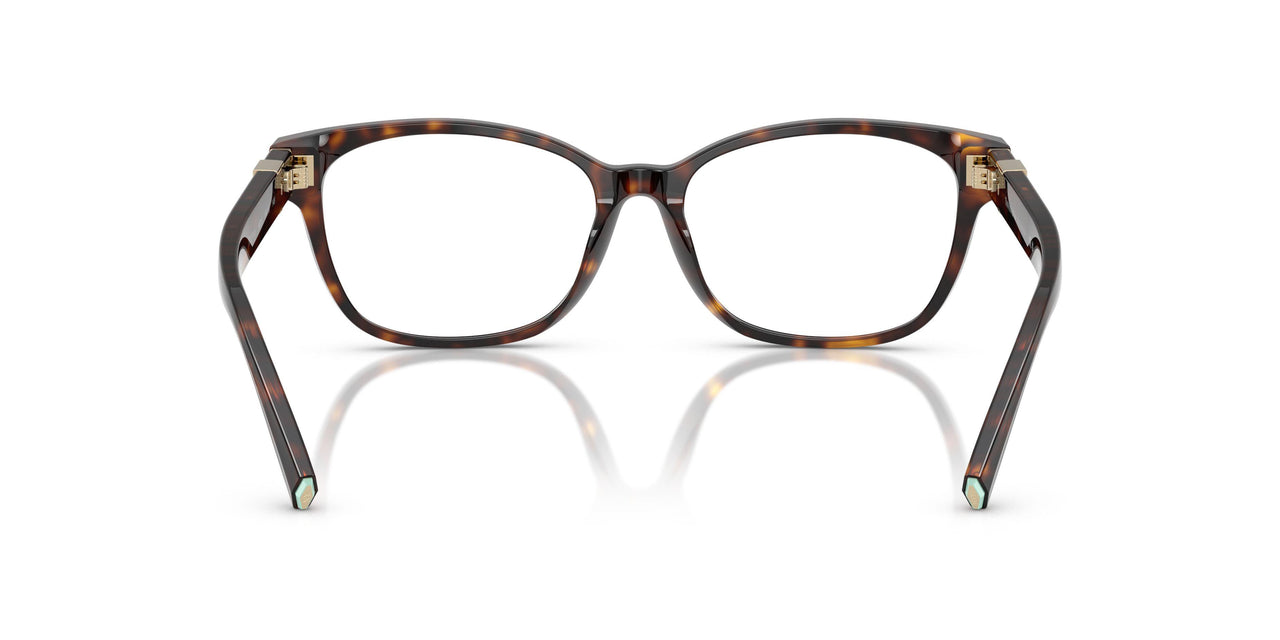 8015 - Tortoise