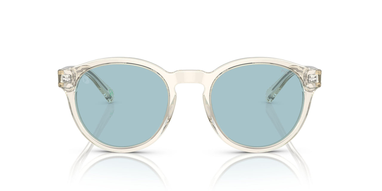 503480 - Grey - Light Azure