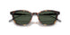 30389A - Brown - Dark Green