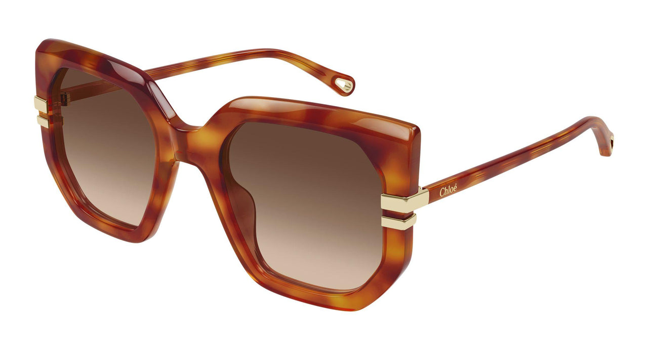 007 - Havana - Brown