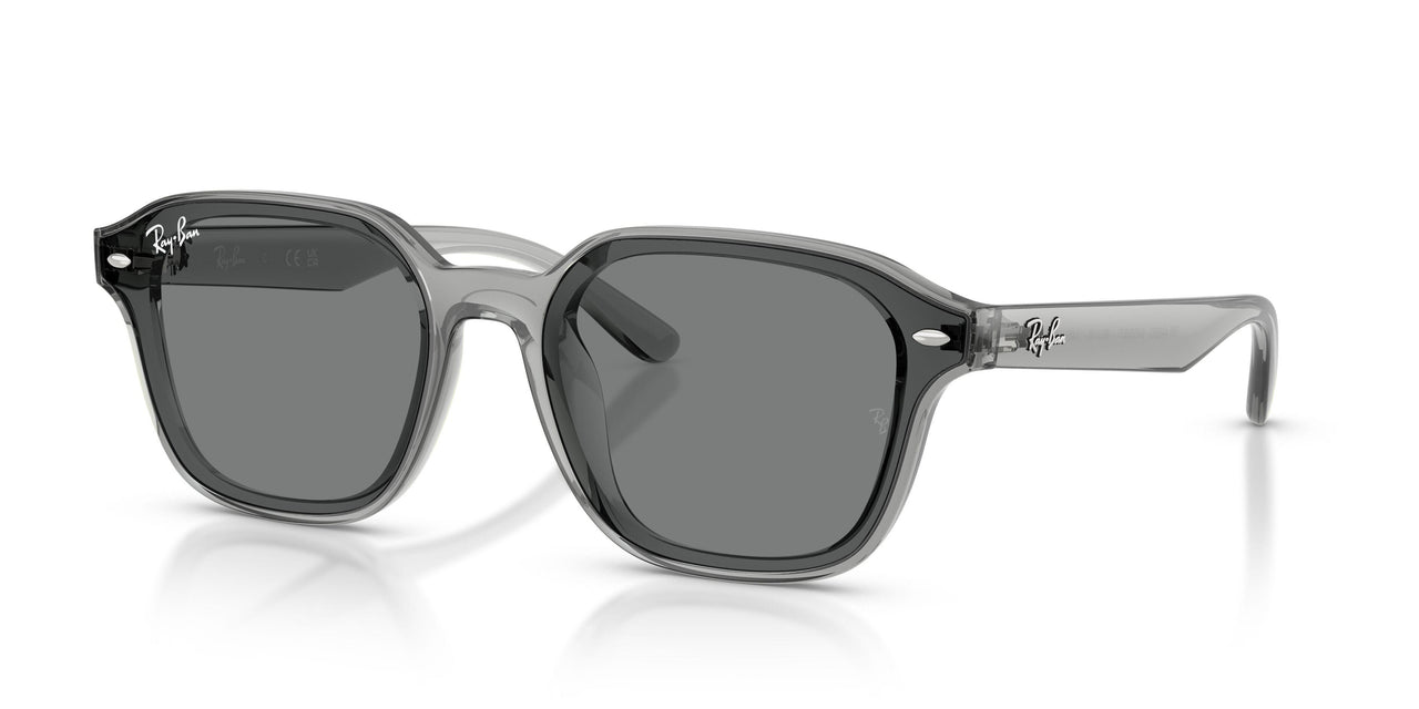 Ray-Ban 4458D Sunglasses