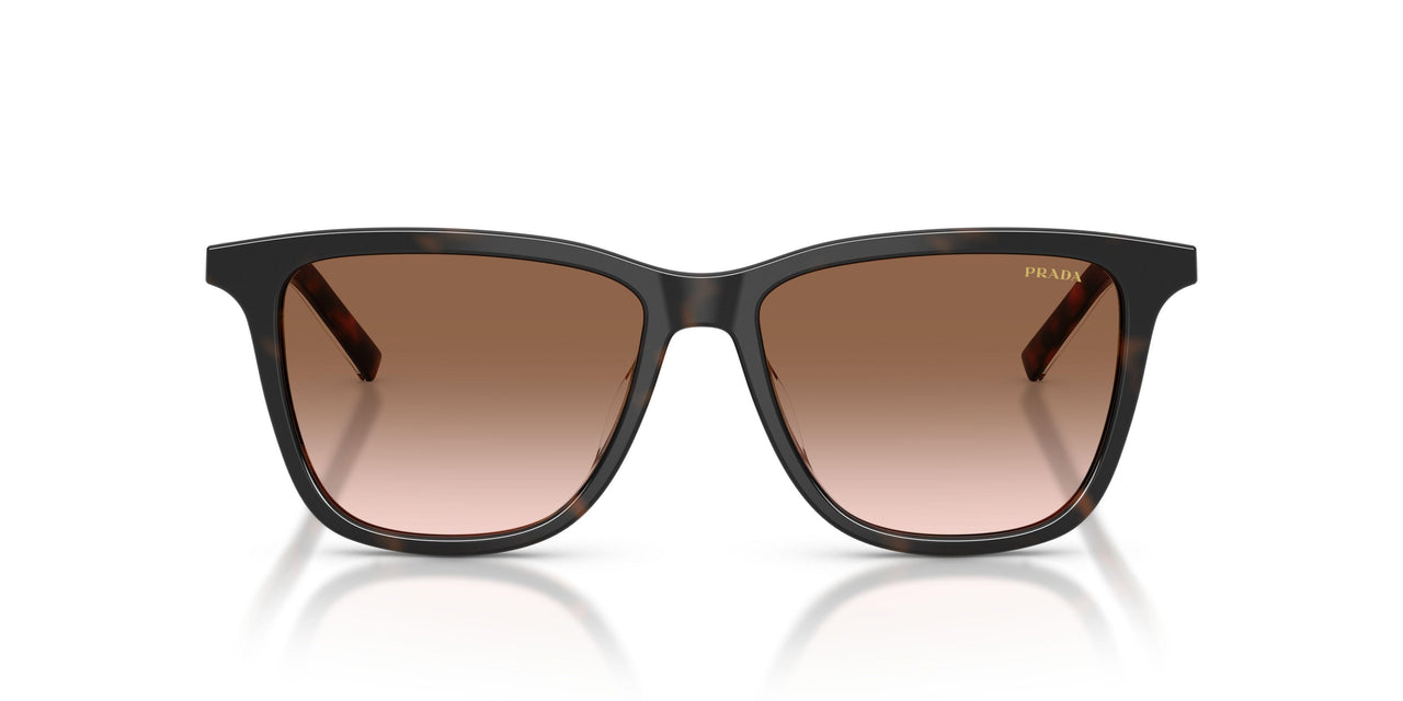 20P90P - Tortoise - Brown Gradient