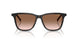 20P90P - Tortoise - Brown Gradient