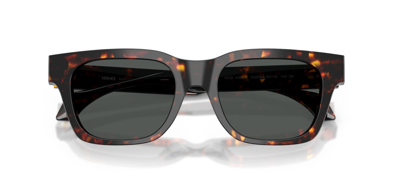 550987 - Tortoise - Dark Grey
