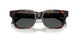 550987 - Tortoise - Dark Grey