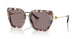34457N - Tortoise - Purpe Brown
