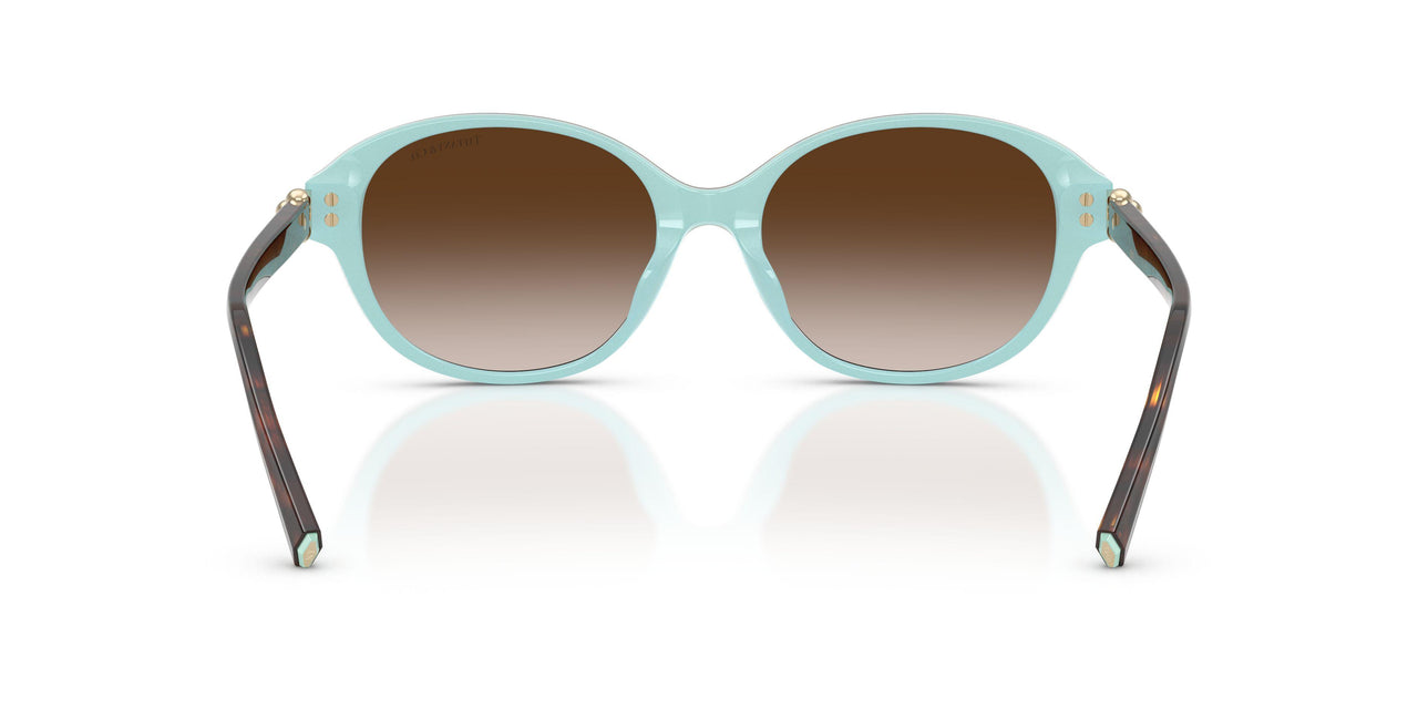 81343B - Brown - Brown Gradient