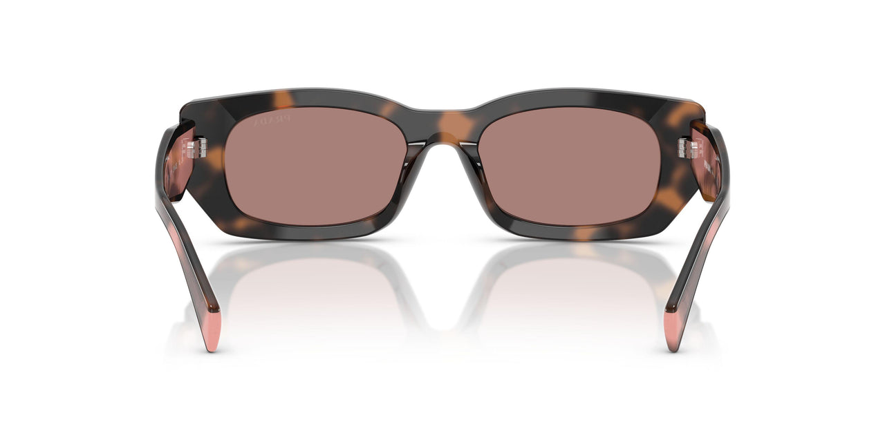 23A60B - Tortoise - Light Brown