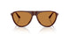 125873 - Red - Coppery Brown