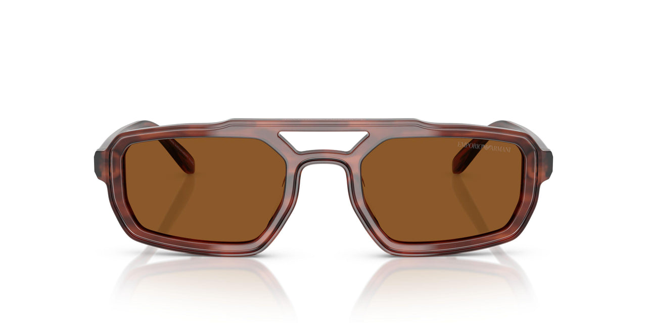 620373 - Brown - Brown