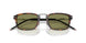24/4E - Tortoise - Olive Green