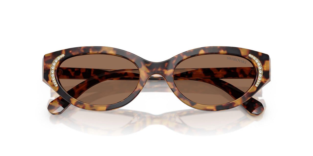 104073 - Tortoise - Dark Brown