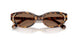 104073 - Tortoise - Dark Brown