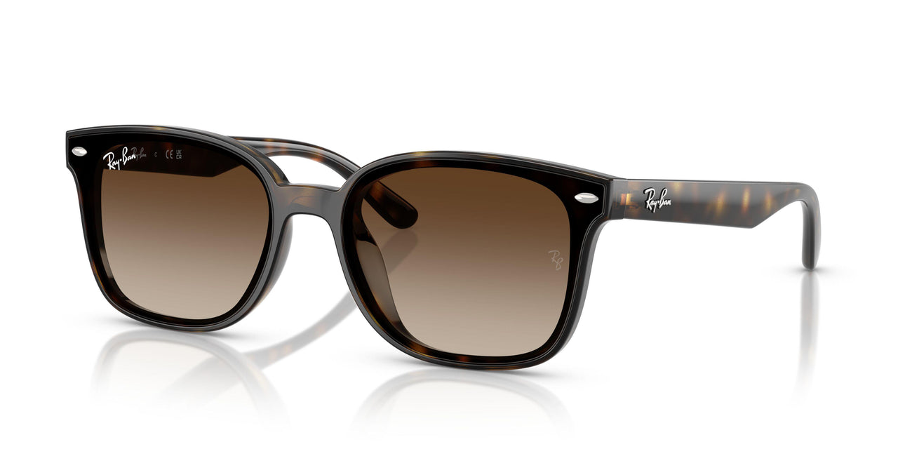 710/13 - Tortoise - Gradient Brown