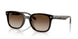 710/13 - Tortoise - Gradient Brown