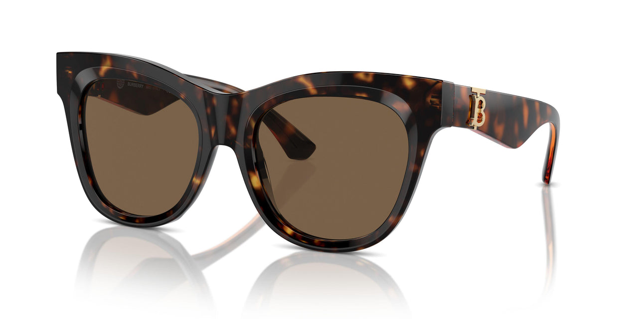 300273 - Brown - Dark Brown