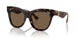 300273 - Brown - Dark Brown