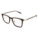 002 - Havana/Gold - Transparent
