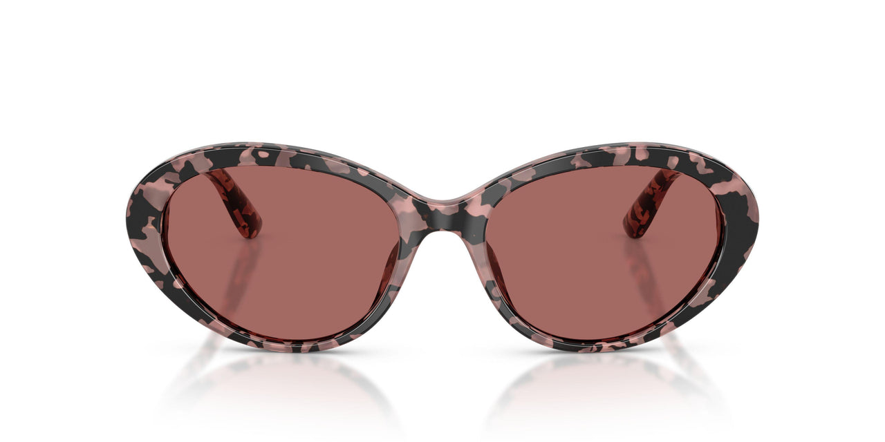 347669 - Tortoise - Dark Violet