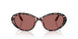 347669 - Tortoise - Dark Violet