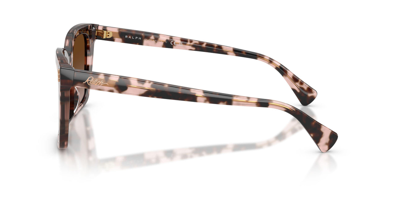 605813 - Tortoise - Gradient Brown