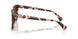 605813 - Tortoise - Gradient Brown