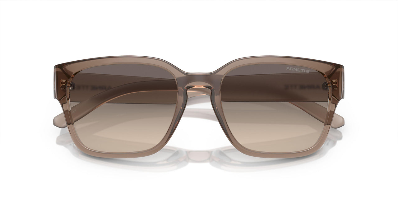 290613 - Brown - Gradient Brown