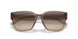 290613 - Brown - Gradient Brown