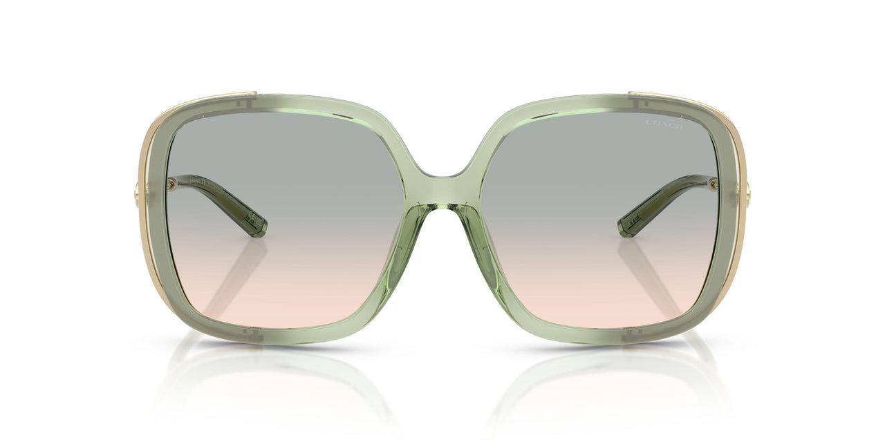 58902C - Grey - Green Peach Gradient