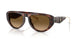 725/M2 - Brown - Gradient Brown Polar