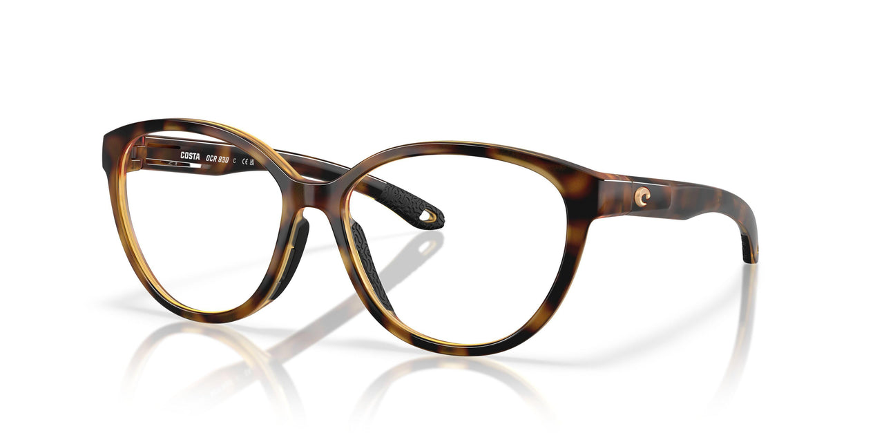 802503 - Tortoise
