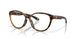 802503 - Tortoise