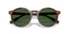 562571 - Tortoise - Bottle Green
