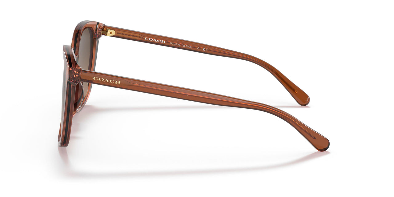 5662G9 - Brown - Brown Gradient