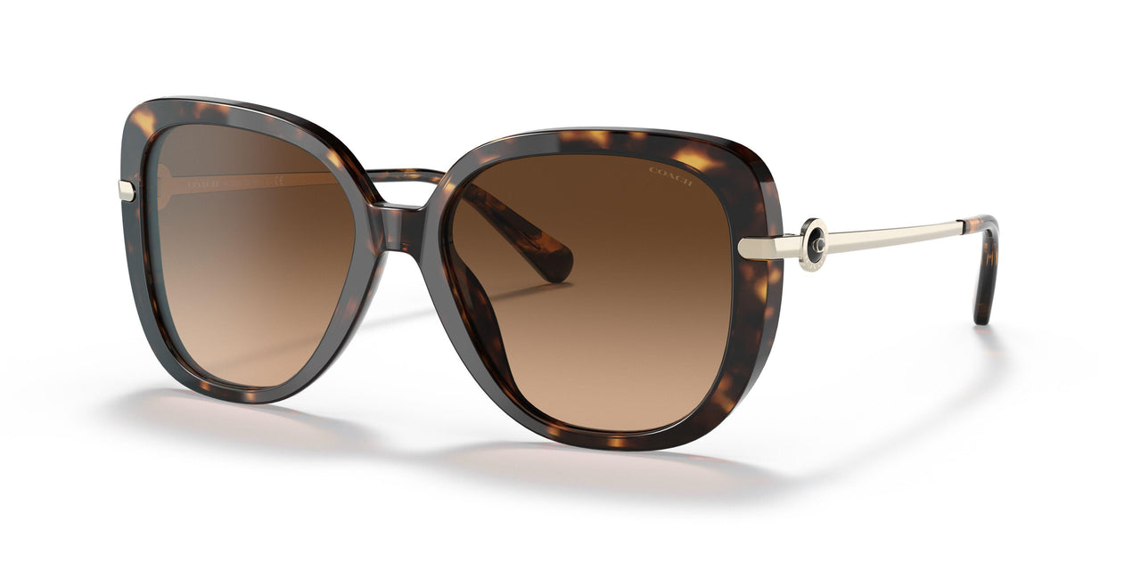 512074 - Havana - Dark Brown Gradient