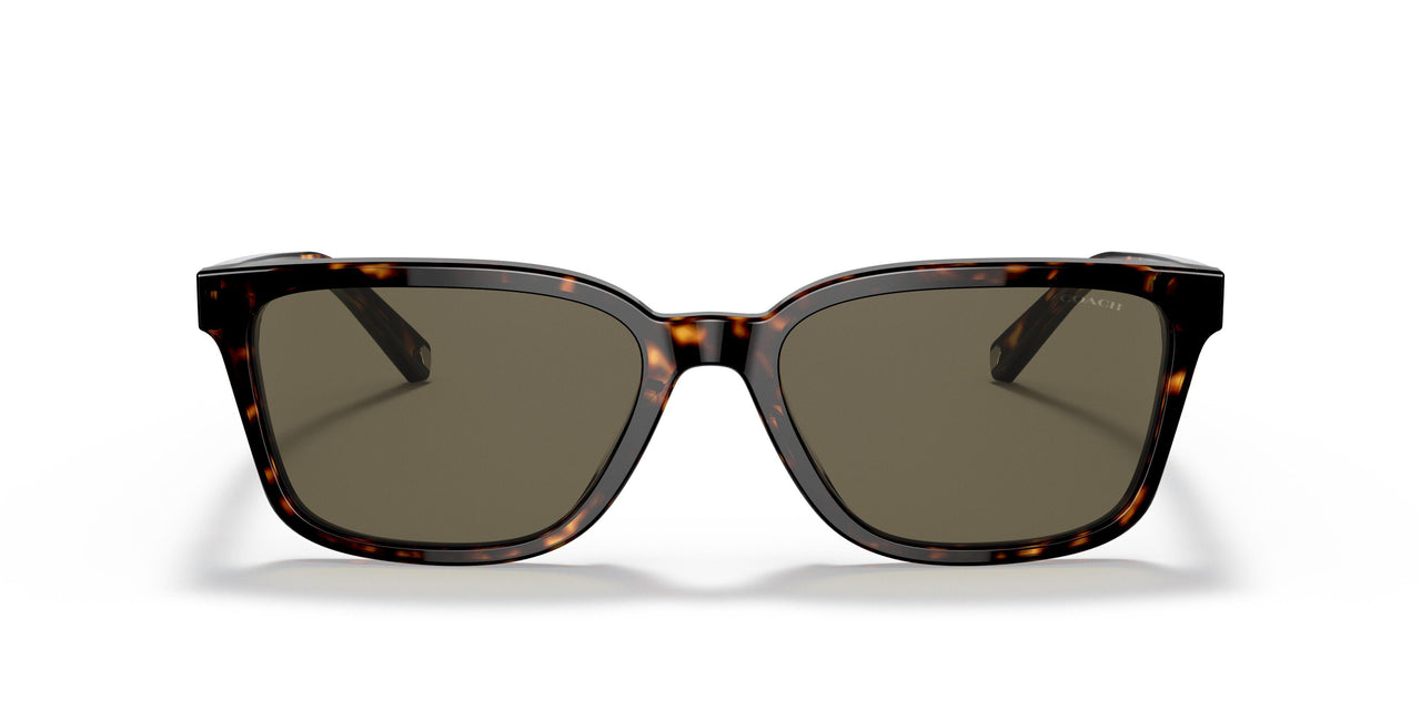 512003 - Havana - Dark Brown Solid